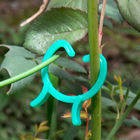 庭3cmリングPEの植物の棒のねじれプラスチック クリップ コネクター