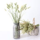 家に40cmの緑Bristlegrassの乾燥された花の束を飾りなさい